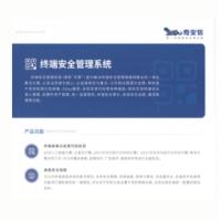 奇安信 网神终端安全管理系统V10.0（服务器端） 信息安全软件